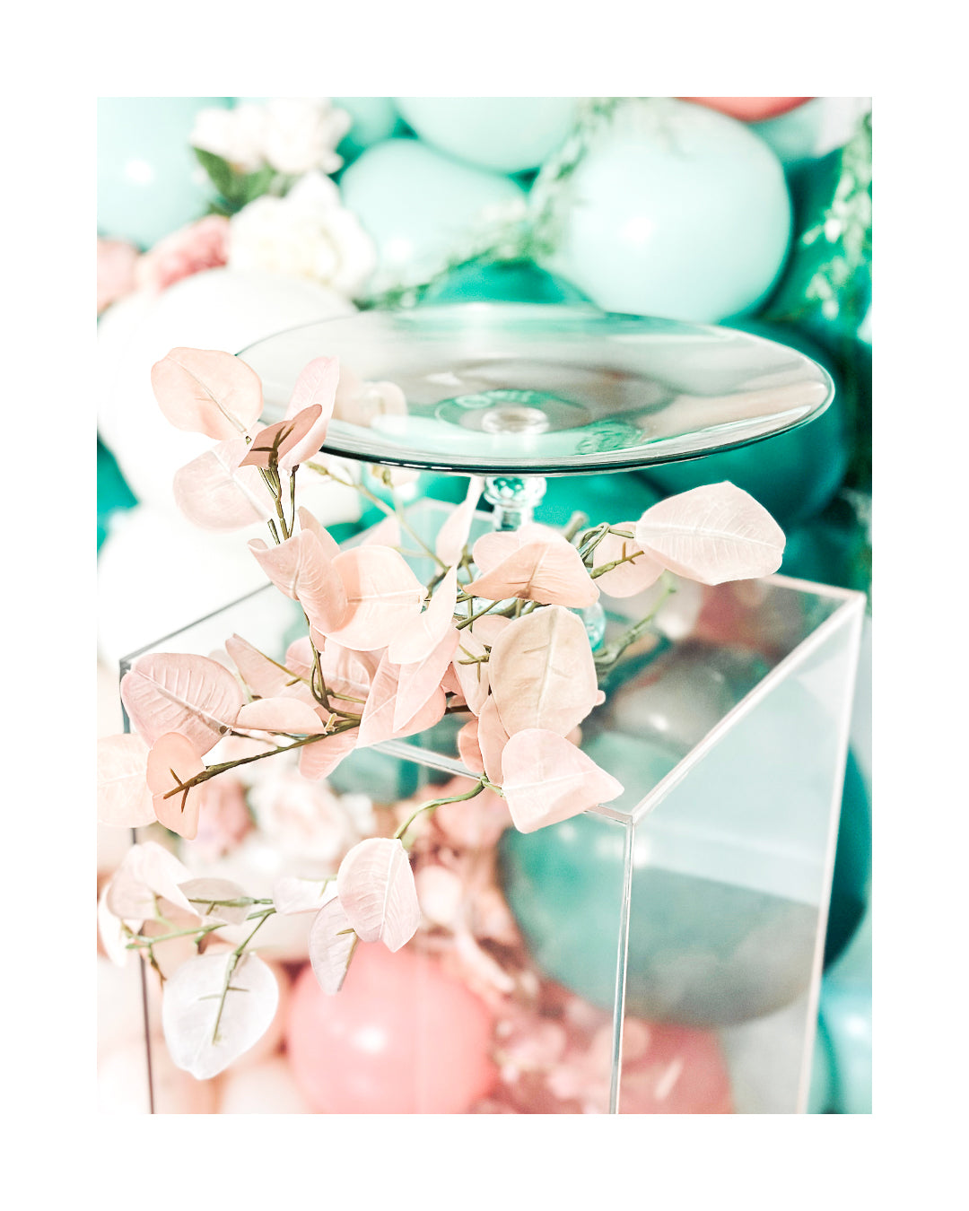 ENCHANTED GARDEN. Start from