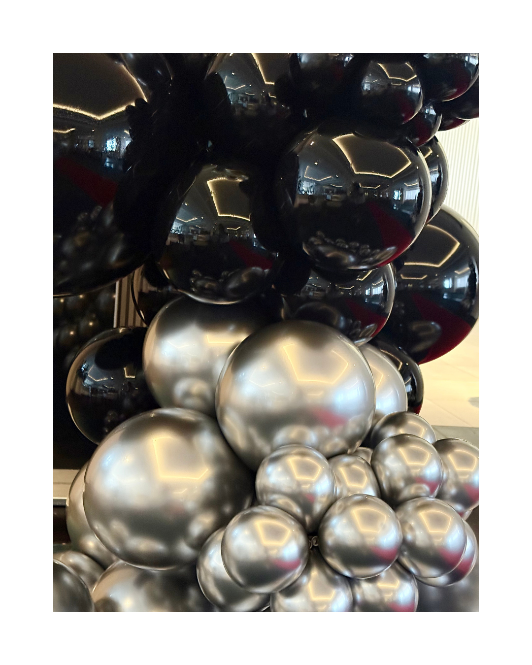 SILVER CHIC. Start from